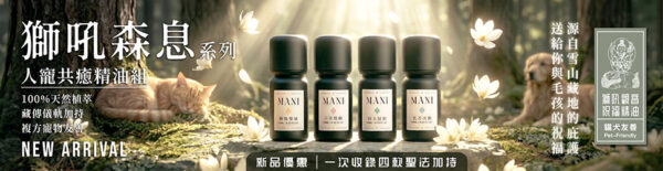 瑪尼MANI推出「神明的孩子系列－聖護精油」，以獅吼觀音守護意象結合植萃香氛設計，打造毛孩與家人共居的安心療癒空間。（圖／業者提供）