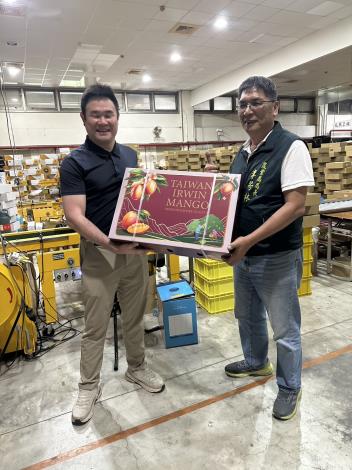 臺南愛文芒果攻進日本好市多 英國通路同步上架 外銷版圖再擴大