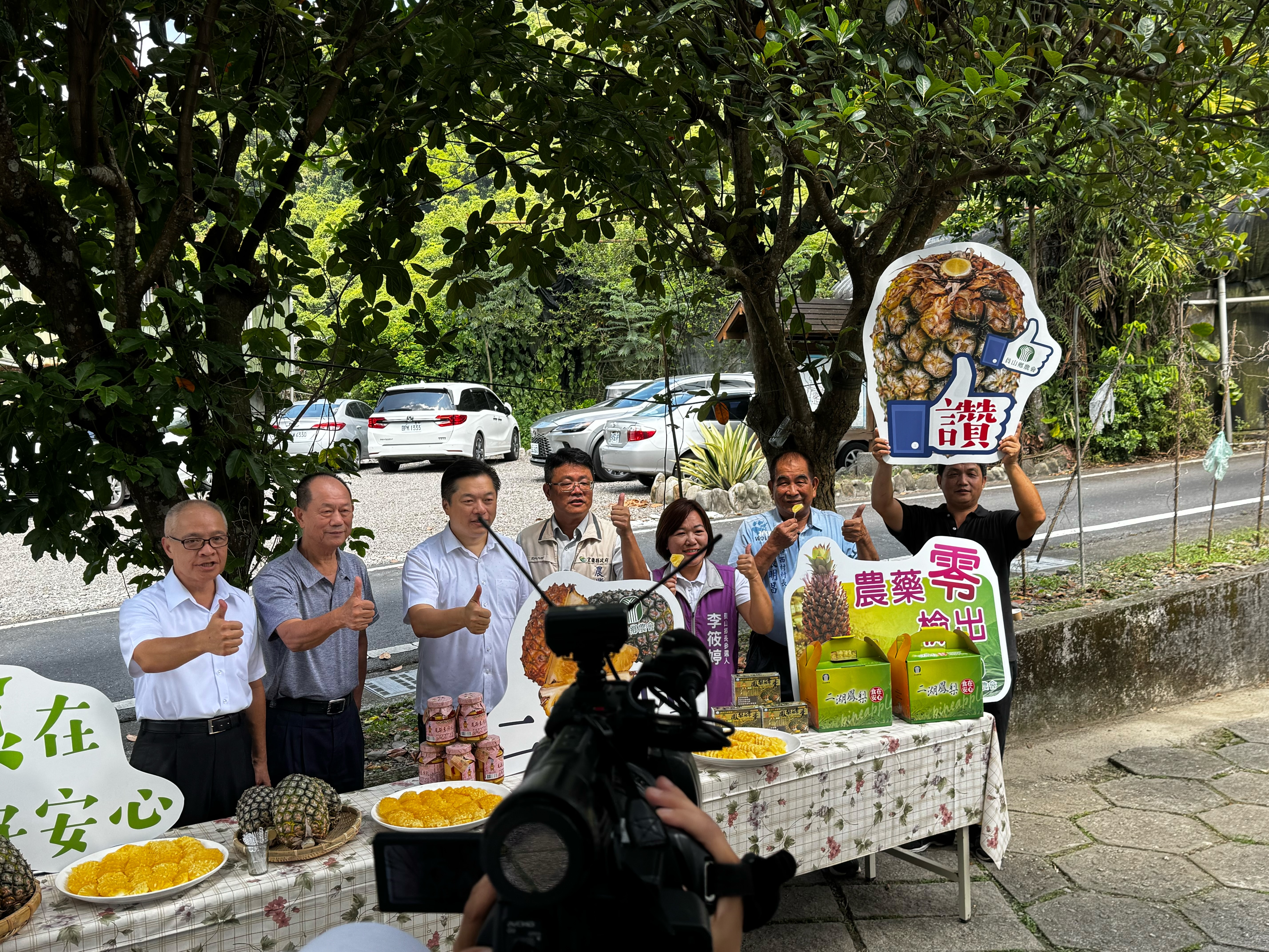 宜蘭二湖鳳梨甜蜜上市　甜度14度以上、農藥零檢出　線上平台開賣宅配全台