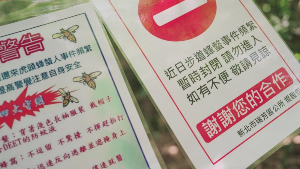 天氣越來越熱，虎頭蜂不再冬眠？ 蜂群螫傷民眾事件頻傳！ 新北首創「虎頭蜂Line Bot」守護市民安全