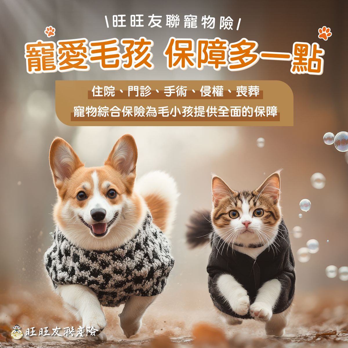 旺旺友聯寵物險3.0版9/1全新上線，打造飼主最強醫療後盾