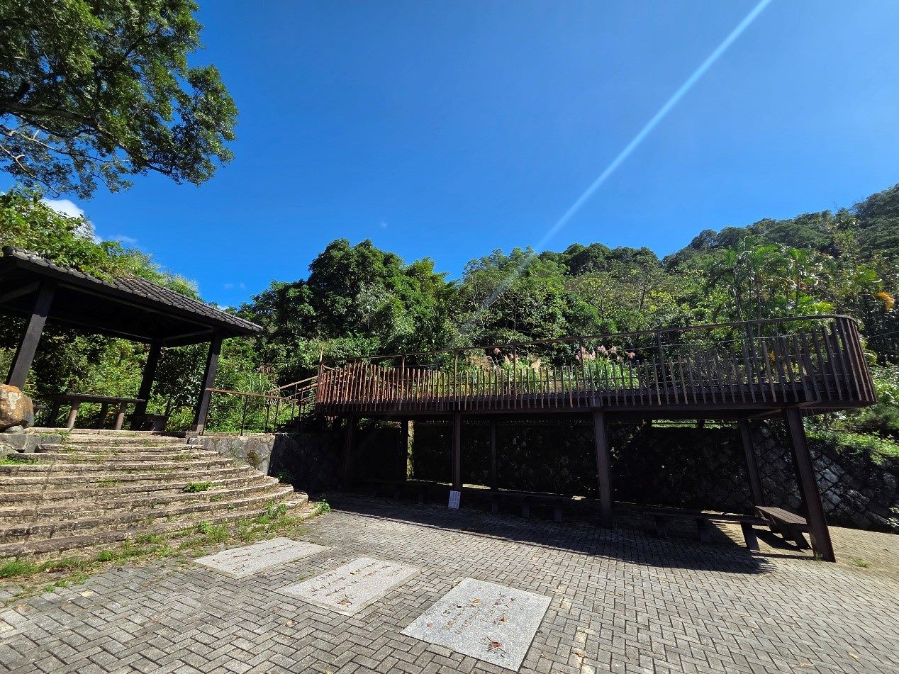 桂花吊橋串起百年茶鄉！南港舊莊秋日散步　賞山景、聞桂香、品包種茶