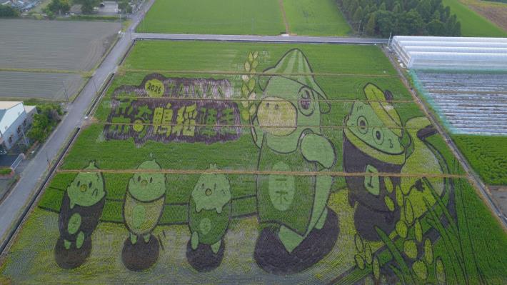 後壁菁寮老街旁的彩繪稻田，以不同色彩稻株呈現「菜奇鴨」與夥伴造型，打造「2026臺南好米季」亮點景觀，邀請旅客感受農村秋日風光。（圖／臺南市政府觀光旅遊局提供）