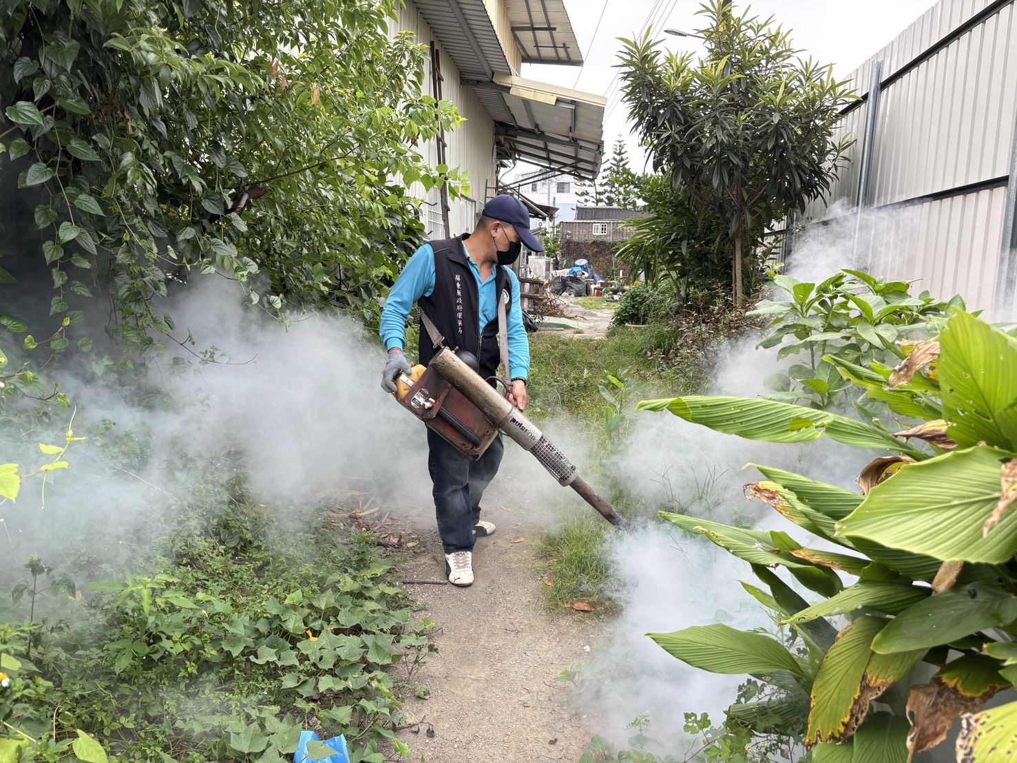 屏東出現2例本土登革熱　60人防疫隊動員、籲落實「巡倒清刷」