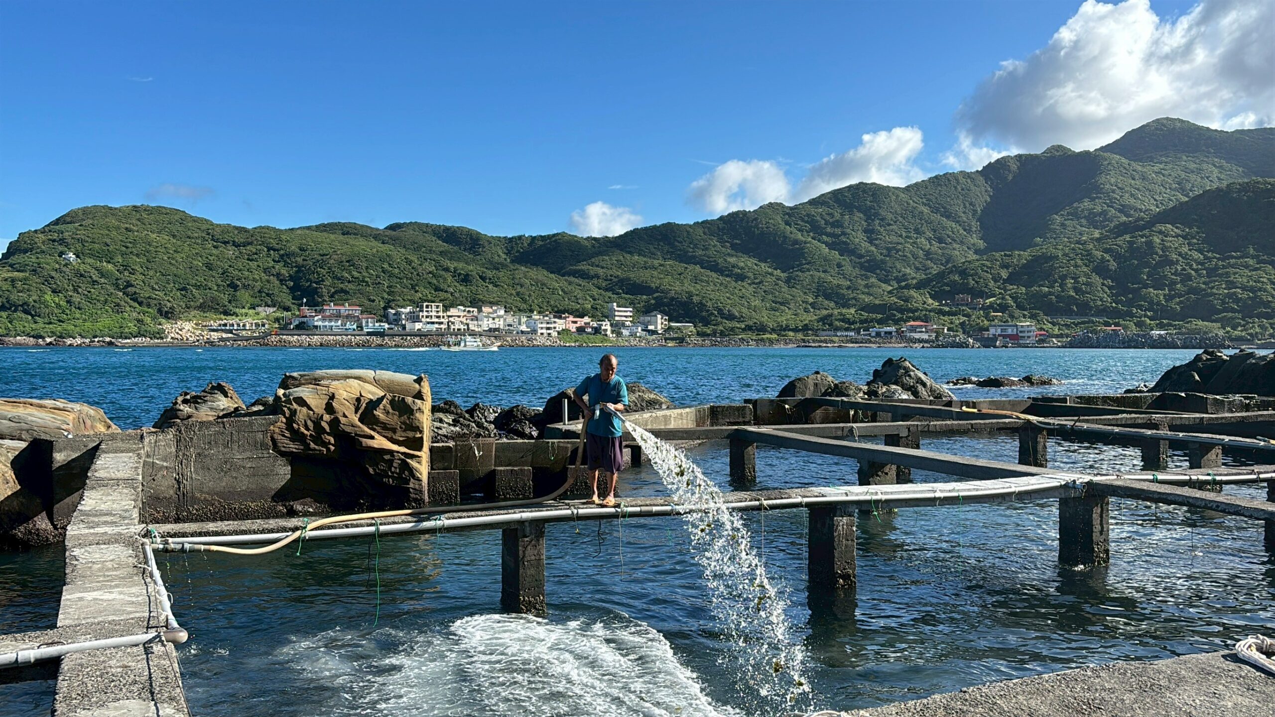 免費體驗貢寮鮑產地到餐桌！8場食魚教育課程　10／23開放登記抽籤