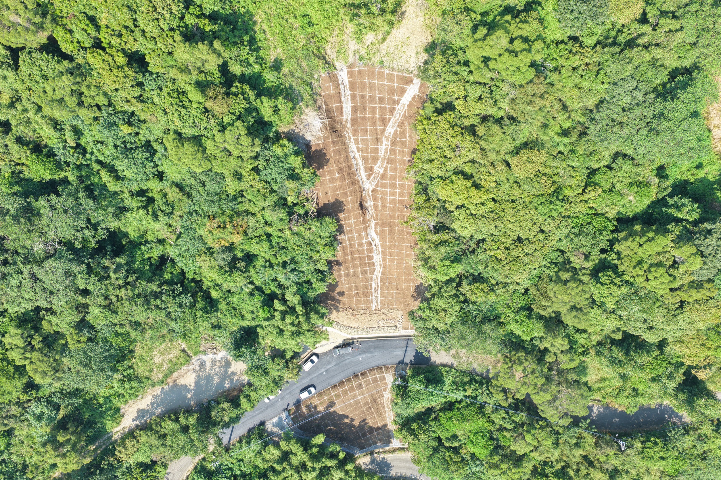 台中市北屯區連坑巷、大湖巷及東勢區茂興里舊台三線等3處災害復建工程陸續完工，透過邊坡防護與補強，提升山區道路通行安全。（圖／台中市政府提供）