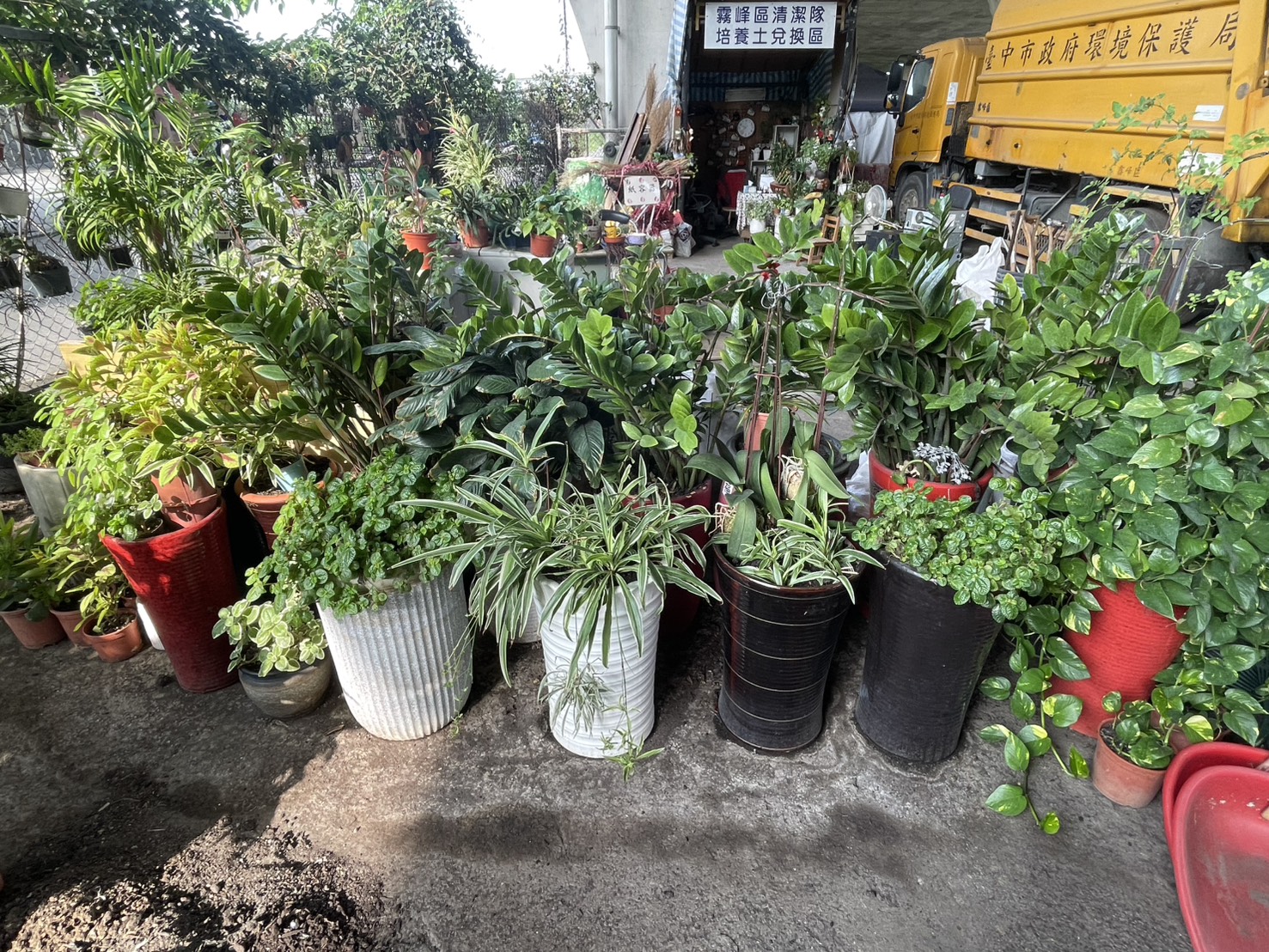 廢輪胎、寶特瓶變花器！霧峰清潔隊打造橋下綠風景