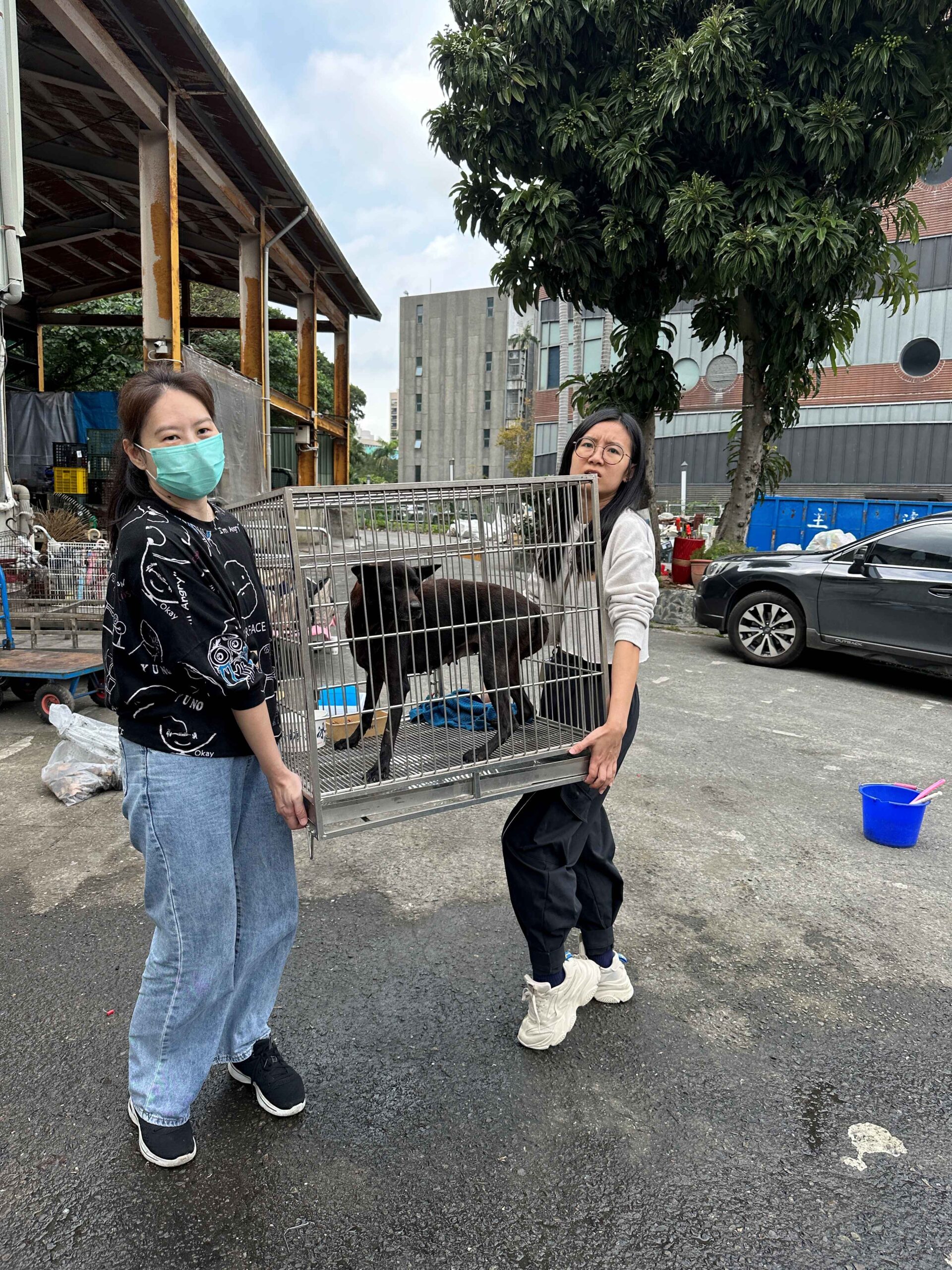 動保人員於現場協助犬隻移動及照護工作。毛孩時代長期支持動保團體,透過公益捐贈關注更多需要幫助的毛孩。(圖/品牌提供)